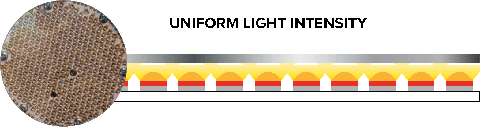 Sencon's Quasar lighting array is high density and intensity